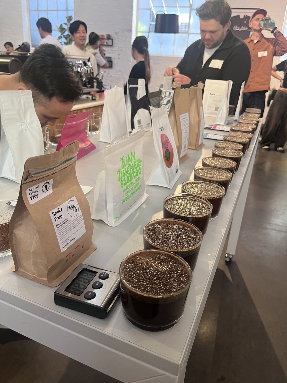 A row of cupping glasses and a bag of Snake Trap on a cupping table